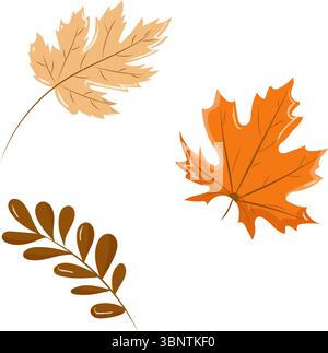Ein Satz farbenfroher Herbstblätter auf weißem Hintergrund. Handgezeichnete Vektorgrafik. Blätter von Ahorn und anderen Bäumen. Herbst Dry Leaf in der Schulsaison. Helles Thanksgiving-Overlay-Design. Stock Vektor
