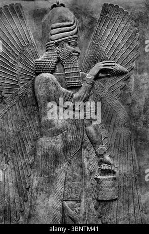 Technischer Segen Neo Assyrischer Palast von Sargon II 721-705 v. Chr. Khorsabad altes Dur Sharrukin Assyrien Irak Louvre, Paris. Stockfoto