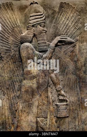 Technischer Segen Neo Assyrischer Palast von Sargon II 721-705 v. Chr. Khorsabad altes Dur Sharrukin Assyrien Irak Louvre, Paris. Stockfoto