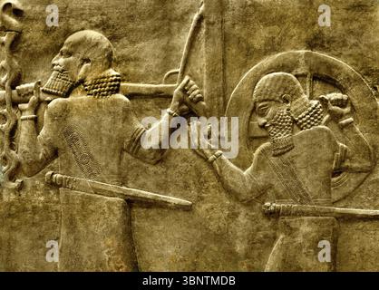 Neo-assyrisches Steinrelief zeigt Soldaten mit einem Kriegswagen, Herrschaft von König Sargon II. 721–705 v. Chr. Palast Chorsabad alte Dur Sharrukin Irak Stockfoto