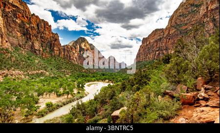 Kayenta Trail, Zion NP, Utah – sonnendurchflutete Sandsteinklippen, üppige Ausblicke auf den Canyon und eine lebhafte Sommerlandschaft auf einer Wanderung im Juni-Nachmittag im amerikanischen Südwesten. Stockfoto