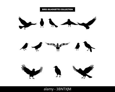 Hochwertige Vektor-Vogel-Silhouetten in verschiedenen Posen, fliegen, ruhen und hocken. Ideal für Logos, T-Shirts, Poster und Design-Projekte mit Naturmotiven Stock Vektor