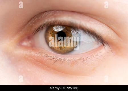 Weibliches Auge, Makroaufnahme. Die Frau hat grüne Augen, aber aus nächster Nähe sieht man dunkelgraue, gelbe und braune Pigmente. Stockfoto