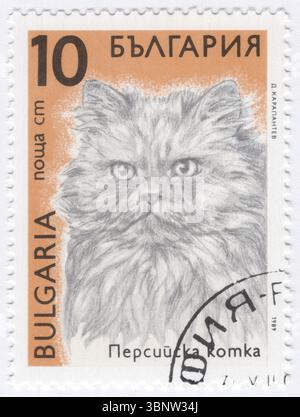 BULGARIEN — 26. Dezember 1989: 10 stotinki schwarz und braun-orange Briefmarke mit der Darstellung der persischen Katze. Die persische Katze, auch bekannt als Persische Langhaar, ist eine langhaarige Katzenrasse mit rundem Gesicht und kurzem Maul. Die ersten urkundlichen Vorfahren persischer Katzen könnten bereits um 1620 aus Khorasan nach Italien importiert worden sein, dies ist jedoch nicht bewiesen. Stattdessen gibt es stärkere Beweise dafür, dass eine langhaarige Katzenrasse ab dem 19. Jahrhundert aus Afghanistan und dem Iran exportiert wird Stockfoto