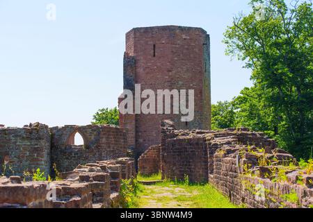 Die Ruinen des Klosters St. Michael verfügen über Steinmauern und einen Turm, umgeben von Grün an einem hellen sonnigen Tag in Heidelberg. Stockfoto