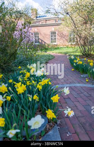 Frühlingsblumen blühen bei Dumbarton Oaks in Georgetown, Washington, D.C. Stockfoto