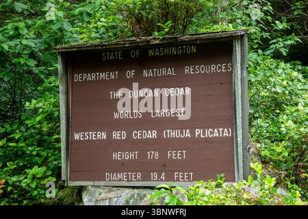 WA28467-00...WASHINGTON - Schild an der Duncan Cedar auf der Olympic Peninsula im Jefferson County. Stockfoto
