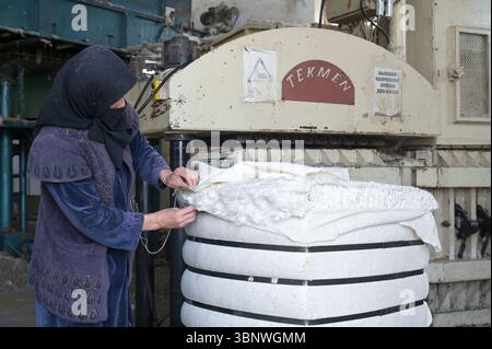 KIRGISISTAN, Bazar-Korgon bei Jalalabad, CTF Baumwolltextilfabrik, Entkörnung von Bio- und Fairtrade-Baumwolle nach der Ernte für landwirtschaftliche Waren und Service Genossenschaft ACSC Bio-Farmer, Frau Verpackung entkörnter Baumwolle in gepresstem Ballen, Ballenpresse / KIRGISTAN, Bazar Korgon, Baumwollentkernungsfabrik CTF, Fairtrade und Bio Baumwolle wird nach der Ernte für landwirtschaftliche Waren und Verpackung Kooperative ACSC Bio-Farmer, Verpackung, Ballen Bio-Bäuerne, Bäuerne, Bäuerne, Bäuerne, Bäuerwerk, Bäuerne Stockfoto