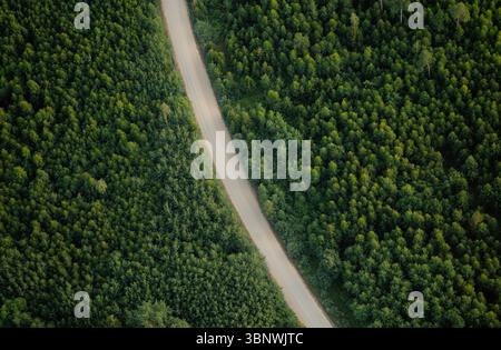 Aus der Vogelperspektive auf unbefestigten Straßen, die durch üppige grüne Wälder in Lettland führen Stockfoto
