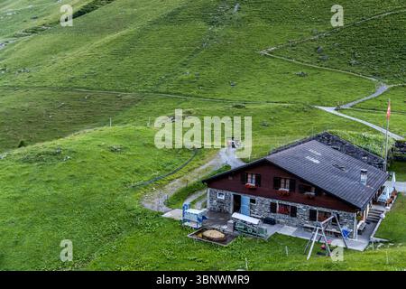 Die Hobiel Alp im Engelbergtal wird von der Familie Zurfluh betrieben, die dort seit Jahrzehnten ihre Sommer verbringen. Drei Generationen der Familie leben dort, ziehen rund 20 Kühe auf und bieten den Gästen Mahlzeiten und die Möglichkeit, in der Almhütte zu übernachten. Am Morgen, nach dem Melken, bringt der Bauer die Milch in einem Jeep zu einer gemeinschaftlichen Käserei. Diese findet in Hobiel, Engelberg, Kanton URI, Schweiz statt Stockfoto