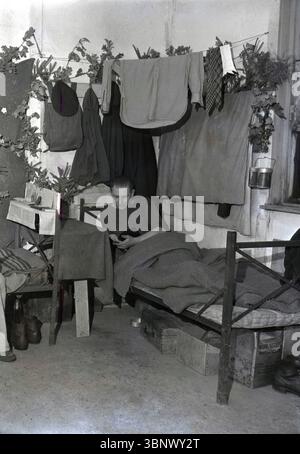 1946, historisch, ein ausländischer Arbeiter in seinem Bett im Volkswagen-Werk Wolfsburg, möglicherweise ein junger lettischer Mann. Hemd und Socken hängen an einer Wäscheleine. Kiste Sozialkekse, McVitie & Price Ltd. Unter dem Bett. Unter der Kontrolle der britischen Armee begann ab Juni 1945 die Produktion von Volkswagen-Autos, und viele Flüchtlinge und Migranten kamen aus den ehemaligen deutschen Gebieten in Osteuropa nach Wolfsburg, um Nahrung, Wohnung und Arbeit zu suchen. Stockfoto