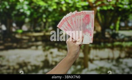Halten Sie mehrere rote 50-Peso-Banknoten im Freien in einem Park, und heben Sie die philippinische Währung vor der lebendigen grünen Kulisse der Natur mit einem Caucas hervor Stockfoto