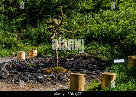 Naturkunstwerk von Leander Locher Phoenix: Zwei Tage lang brannte ein Feuer kontinuierlich und produzierte Asche und verkohltes Holz, danach wurde ein Fundstück aus dem Wald auf die Feuerstelle gestellt. Land Art Trail Gerschnialp in Engelberg 2025 Leander Lochers Werk „Phoenix“ ist auf der Gerschnialp zu sehen. Sie thematisiert Sterben und Neuanfänge im Rahmen der Ausstellung Land Art. Standort: Gerschnialp, Engelberg, Obwalden, Schweiz, Europa. Das Ergebnis ist eine vogelähnliche Kreatur. Ein moosbedeckter Baum in einem Kamin Stockfoto