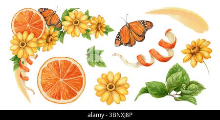 Set aus orangefarbenem Slice und Monarchschmetterling im realistischen Aquarellstil. Gelbe Helianthus-Blüten und botanische Elemente bilden lebendige tropische Elemente Stockfoto