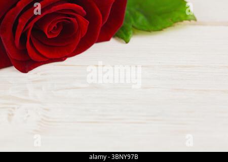 Die rote Rosenblüte mit flachem Design liegt auf einer hellen Holzplatte und zeigt Blütenblätter und grüne Blätter Stockfoto