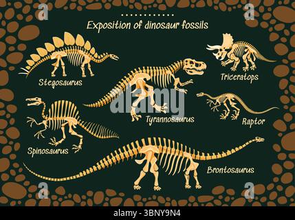 Dinosauriermuseum-Poster mit prähistorischen Dino-Fossilien von Jura-Echsen, Vektorskeletten. Prähistorische Dinosaurier- und Reptilienfossilien für Paläontologie-Museumsplakat des Dino-Enzyklopädie-atlas Stock Vektor