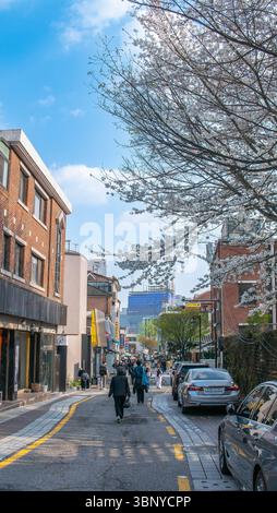 Seoul, Südkorea - 10. April 2025: Eine belebte Straße im Bukchon Hanok Village mit Fußgängern, Autos, die entlang der Straße geparkt werden, und Cherry bloss Stockfoto