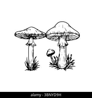Wilde Pilze im Gras, eine Skizze in schwarz-weißer Tinte. Vektorabbildung. Herbstdekor, Fliegenpilz und Kissenhocker, isoliert auf weißem Hintergrund Stock Vektor