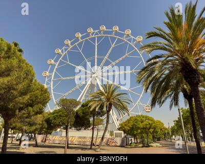 Das große weiße Riesenrad in Port Vell, ein Wahrzeichen, eingerahmt von tipu und Palmen in Barcelona, Spanien. Stockfoto