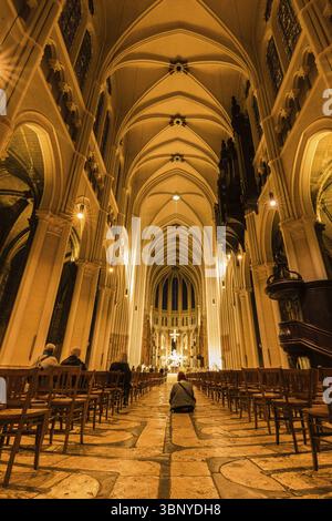 Chartres, Frankreich - Oktober 18, 2019: das Innere der Kathedrale Unserer Lieben Frau von Chartres oder Notre-Dame de Chartres in Frankreich Stockfoto