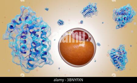 Ein 3D-Rendering von streuenden Leptinmolekülen und Adipozyten- oder Fettzellen, die ihre Rolle im Stoffwechsel und bei der Energieregulierung veranschaulichen. Stockfoto