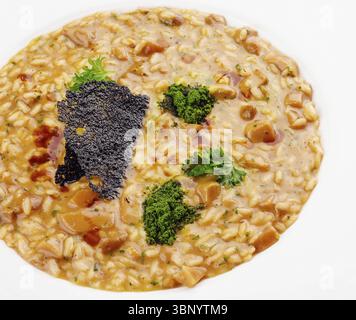 Food Stillleben, klassisches italienisches veganes Pilzrisotto mit Arborio-Reis Stockfoto