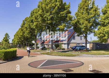 Dorfansicht Tolbert mit modernen Häusern mit Sonnenkollektoren und Bäumen in Tolbert in der Gemeinde Westerkwartier in der Provinz Groningen, Niederlande Stockfoto