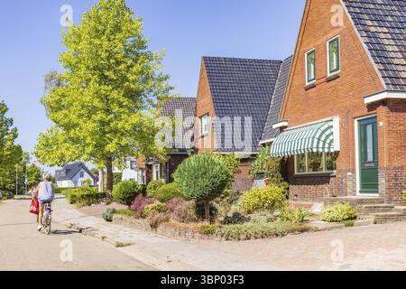 Dorfansicht Tolbert mit Reihe von Häusern und Bäumen des kleinen Dorfes Tolbert in der Gemeinde Westerkwartier in der Provinz Groningen Niederlande Stockfoto