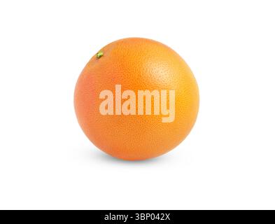 Reife ganze Grapefruit isoliert. Zitrusfrüchte, Orangenfrüchte mit Schnittpfade. Stockfoto