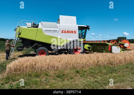 4. Juli 2025 - Patzig-Deutschland: Claas Lexion 580 Mähdrescher während der Weizenernte, wobei der Fahrer bereit ist, die Maschine zur Inspektion unter zu besteigen Stockfoto
