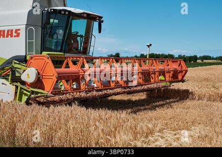 4. Juli 2025 - Patzig-Deutschland: Nahaufnahme der Mähdrescherfront Claas Lexion 580 während der Weizenernte auf Pause Stockfoto