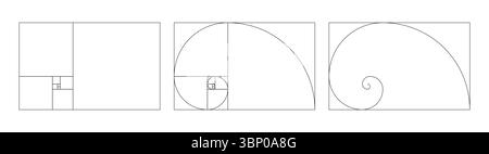 Vorlage für harmonische Proportionen des goldenen Verhältnisses. Fibonacci Numbers Array Set. Stock Vektor