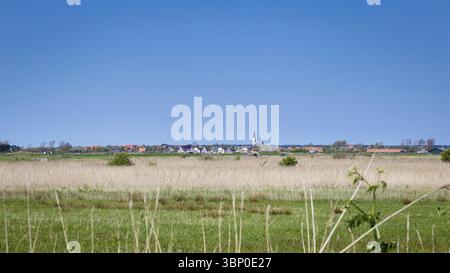 Dorfansicht den Hoorn ein kleines Dorf auf den watteninseln Texel in den Niederlanden, den Hoorn Texel, Nederland Stockfoto