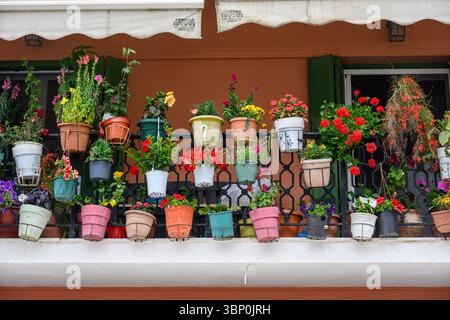 12-19/05/2025 Lakka, Paxos, Griechenland. Auf dem Balkon sind schöne Topfpflanzen zu sehen. Foto © Simon Grosset Stockfoto