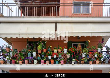 12-19/05/2025 Lakka, Paxos, Griechenland. Auf dem Balkon sind schöne Topfpflanzen zu sehen. Foto © Simon Grosset Stockfoto