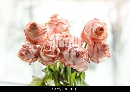 Der Blumenstrauß verwelkter rosa Rosen. Ein abgeschlossenes Liebesbeziehungskonzept. Selektiver Fokus. Stockfoto