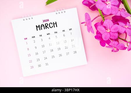 März 2026 Schreibtischkalender und rosa Orchidee auf rosa Hintergrund. Stockfoto