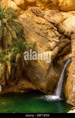 Ein kleiner Wasserfall in der Bergoase Tschebika. Djebel el Negueb Berge. Tschebika, Tunesien, Afrika Stockfoto