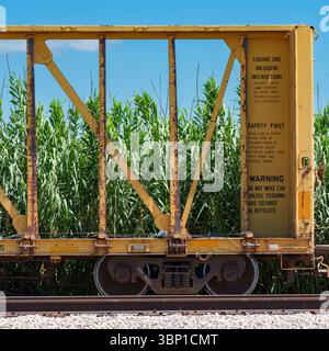 Ende des gelben Mittelbalkenwagens, der an einem sonnigen Sommernachmittag in Texas im Leerlauf auf einem Bahngleis sitzt, mit invasivem Riesenschild, das auf der Strecke wächst. Stockfoto