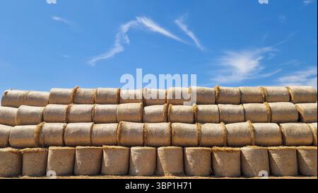Große, ordentlich gestapelte runde Heuballen auf einem trocken geernteten Feld unter klarem blauem Himmel. Ländliche Landwirtschaftsszene im Sommer mit goldenen Tönen, Ackerland, Stockfoto