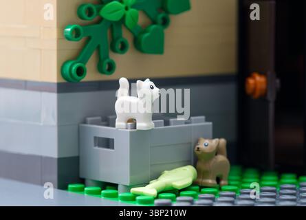 Tambow, Russische Föderation - 2. Juli 2025 zwei Lego-Katzen stehen hinter einem Gebäude in der Nähe einer Kiste mit einem Fisch Stockfoto