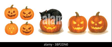Halloween Pumpkins Kollektion mit Katze – Jack-o'-Laternen und Black Cat Stockfoto