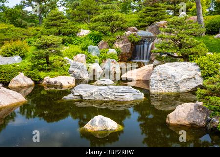 Friedliche japanische Gartenszene mit friedlicher Landschaftsgestaltung und kultureller Schönheit im Como Park Conservatory Stockfoto