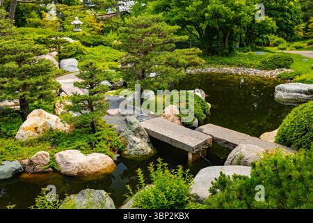 Friedliche japanische Gartenszene mit friedlicher Landschaftsgestaltung und kultureller Schönheit im Como Park Conservatory Stockfoto