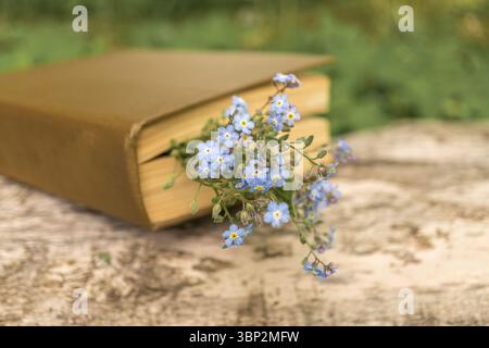 Rustikales Buch mit blauen Vergissmeinnots auf hölzerner Oberfläche im Freien Stockfoto