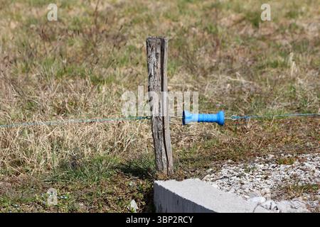 Ein blauer Kunststoffgriff ist an einem Holzpfosten befestigt, der Teil eines elektrischen Zauns ist, der sich über ein grasbewachsenes Feld mit trockener Vegetation erstreckt Stockfoto