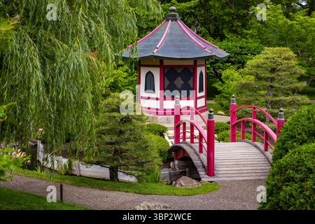 Eine wunderschöne traditionelle rote Brücke führt anmutig über dem Wasser im ruhigen Normandale Japanischen Garten Stockfoto