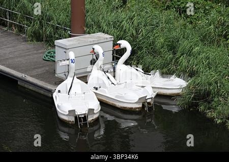 Swan Paddelboote im Queen Elizabeth Olympic Park - London UK Stockfoto