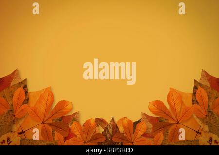 Flache Herbstblätter bilden am Boden einen Rand auf goldenem Hintergrund, Kopierraum Stockfoto