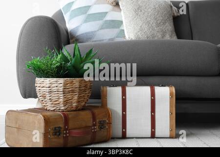 Graues Sofa mit Kissen, Koffern und Zimmerpflanzen im Wohnzimmer Stockfoto